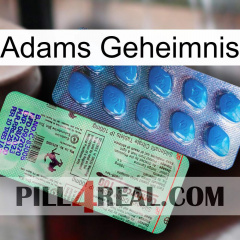 Adams Secret new02